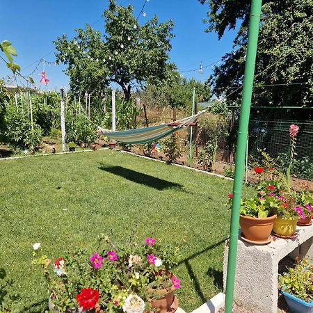 Hotel Casa Simona Două Mai Zewnętrze zdjęcie