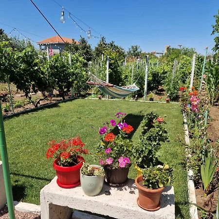 Hotel Casa Simona Două Mai Zewnętrze zdjęcie