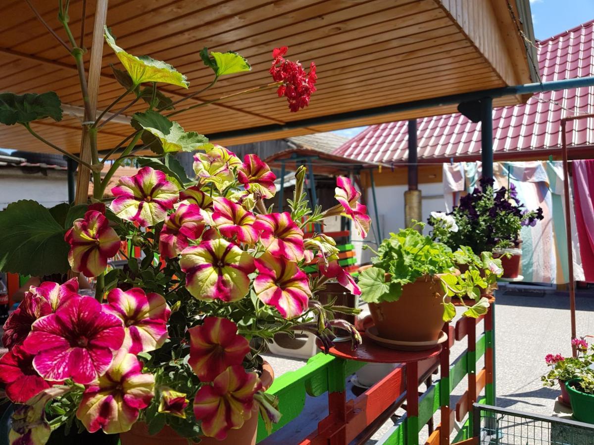 Hotel Casa Simona Două Mai Zewnętrze zdjęcie